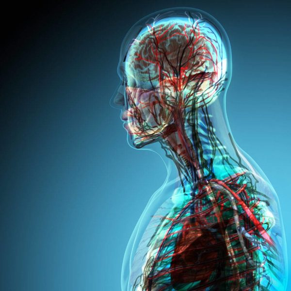 Level 5 Anatomy & Physiology Course